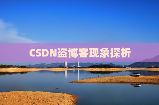 CSDN盗博客现象探析 CSDN盗博客现象探析